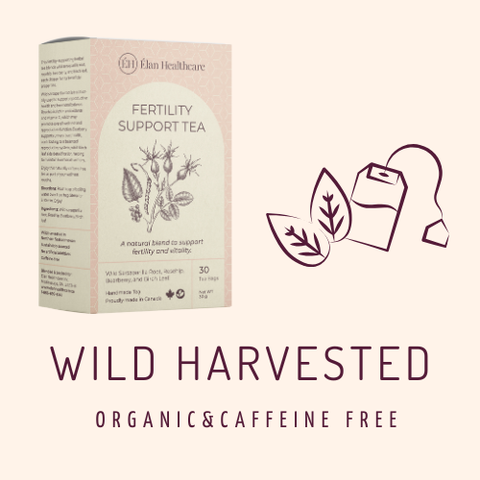 Elan Healthcare Fertility Support Tea