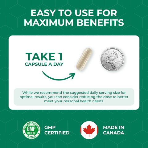 Elan Healthcare White Kidney Bean Extract - 60 Capsules (7000mg Equivalent)