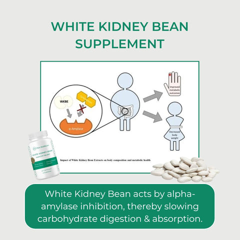 Elan Healthcare White Kidney Bean Extract - 60 Capsules (7000mg Equivalent)