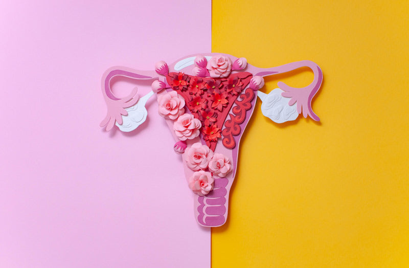 Endometriosis vs PCOS: What Is The Difference Between The Two?