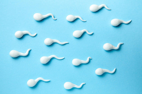 Sperms arranged on a blue background.