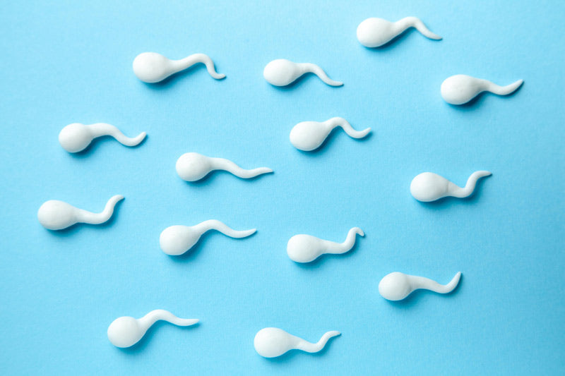 Debunking 7 Everyday Myths About What Foods Boost Sperm Count