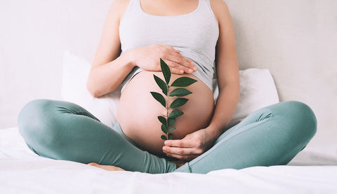 stork bringing baby, fertility concept