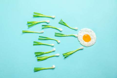 fried egg and scallions, fertility concept, sperm health