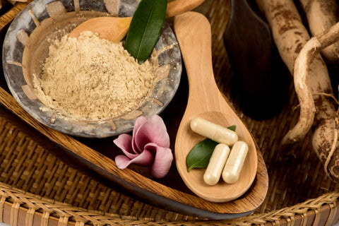 Tongkat Ali, roots, green leaves and powder have medicinal properties