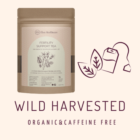 Elan Healthcare Fertility Support Tea